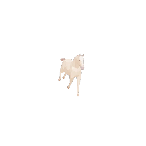 Galloping Stallion Horse