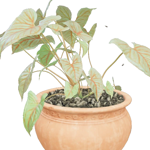 Subsurface Potted Monstera