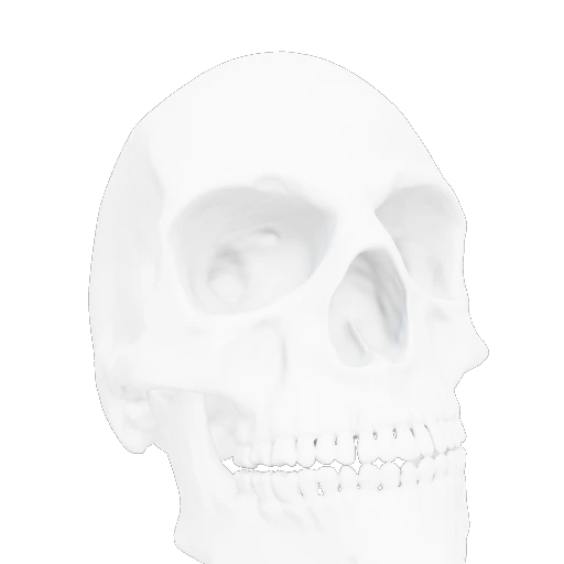 Carved Alabaster Skull